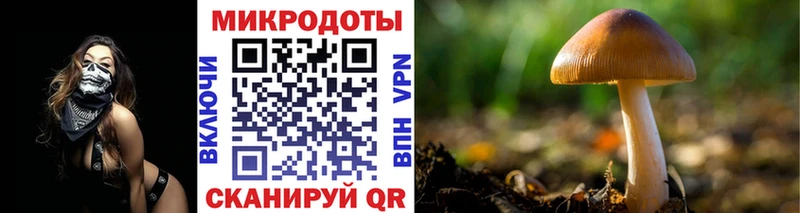 Псилоцибиновые грибы прущие грибы  Купить  Гаврилов-Ям 
